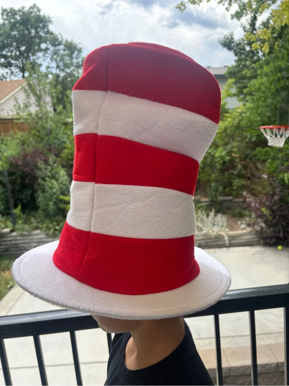 Dr. Seuss Cat in the Hat Costume Hat
